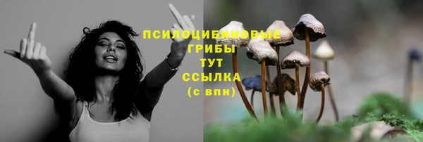 ешки Абдулино