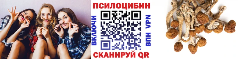 Псилоцибиновые грибы Cubensis  блэк спрут ONION  Тутаев  как найти закладки 
